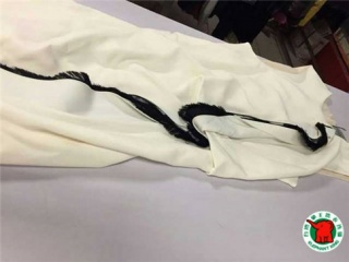 開家洗衣店需要多少錢?需要做哪些準備工作?