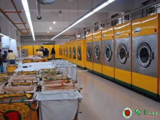 沒有經驗，開加盟店掙錢嗎？