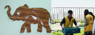 卡鉑連鎖洗衣加盟，挑對(duì)品牌讓你成為時(shí)代的佼佼者